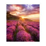 Samsung IF015E Transparent (mesh) LED Indoor