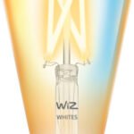 WiZ Filament Bulb amber 6.7W (Eq.50W) ST64 E27