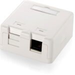 Equip 2-Port Keystone Jack Surface Mount Box