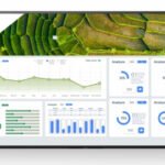 Sony FW-43BZ30L Signage Display Digital signage flat panel 109.2 cm (43") LCD Wi-Fi 440 cd/mÂ² 4K Ultra HD Black Android 24/7