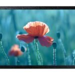 Samsung QBR-B QB24R-B Digital signage flat panel 61 cm (24") LCD Wi-Fi 250 cd/mÂ² Full HD Black Built-in processor Tizen 4.0 16/7