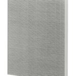 Fellowes Medium True HEPA Filter (DX55)