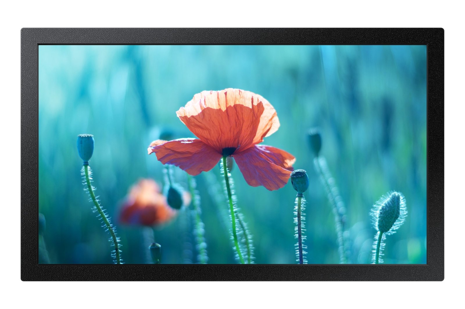 i1Tg3B4Hr02TnoL-QkihtA.c-r Samsung QB13R-M Digital signage flat panel 33 cm (13") LCD Wi-Fi 500 cd/m² Full HD Black Built-in processor Tizen 4.0 16/7 - Image 1