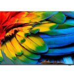 Philips 75HFL6214U 190.5 cm (75") 4K Ultra HD Smart TV Wi-Fi Anthracite 400 cd/mÂ²