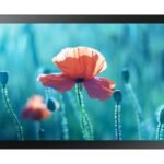 Samsung QB13R-TM Interactive flat panel 33 cm (13") LED Wi-Fi 500 cd/mÂ² Full HD Black Touchscreen Built-in processor Tizen 4.0 16/7